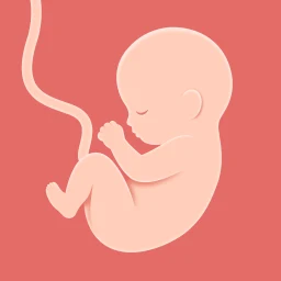HiMommy: 妊娠週数・妊娠日記 のアイコン